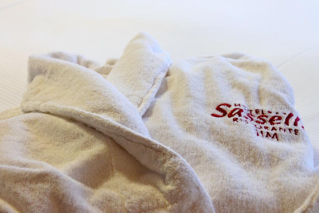Hotel Sassella 3*